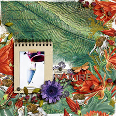 Field Notes {Fall}