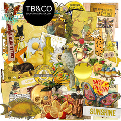 Artist Trading Cards Super Saver {Bundle No. 1}