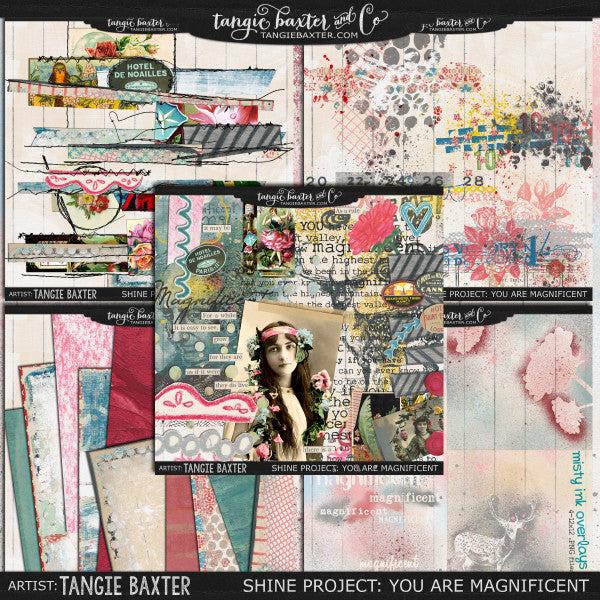 Shine: You are Magnificent The ENTIRE Bundle