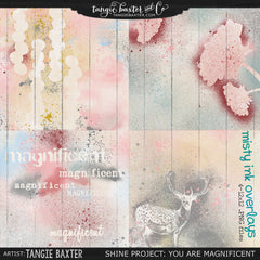 Shine: You are Magnificent The ENTIRE Bundle