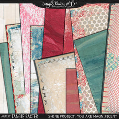 Shine: You are Magnificent The ENTIRE Bundle