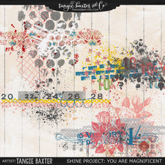 Shine: You are Magnificent The ENTIRE Bundle