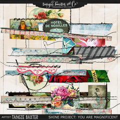 Shine: You are Magnificent The ENTIRE Bundle