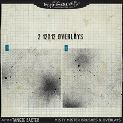 Misty Mister Brushes & Overlays