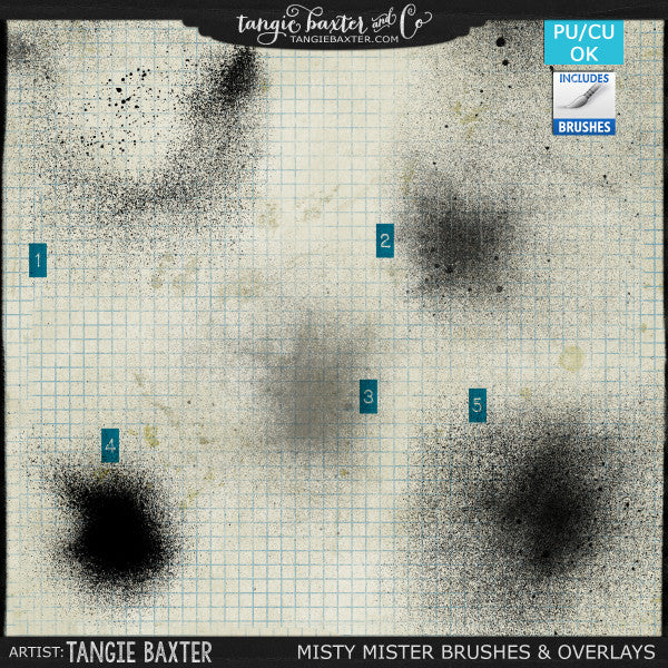 Misty Mister Brushes & Overlays
