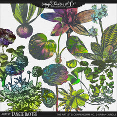 The Artist's Compendium No. 2