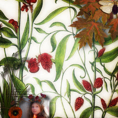 Field Notes {Fall}