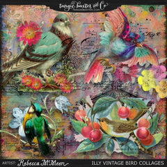{Rebecca Bundle No. 18} Illy