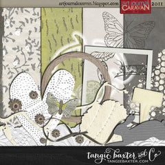 Art Journal Caravan™ Workshop 2011 {PARCEL BUNDLE}