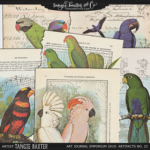 Artifacts No. 22: Pretty Parrot Paper Pieces