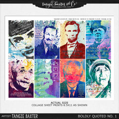 Boldly Quoted & Tangerine Telescope No. 6 DIGITAL Version