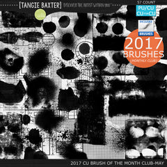 2017 Brush of the Month Club - No. 05 May Brushes