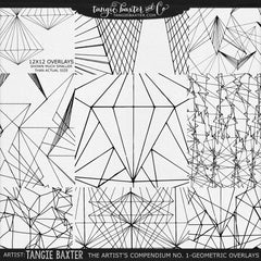 The Artist's Compendium No. 1