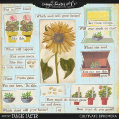 {Tangie Bundle No. 22} Cultivate