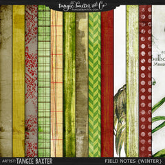 Field Notes {Winter}