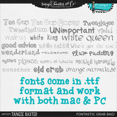 FONTASTIC! 65 FONTS GRAB BAG!