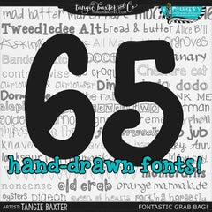 FONTASTIC! 65 FONTS GRAB BAG!