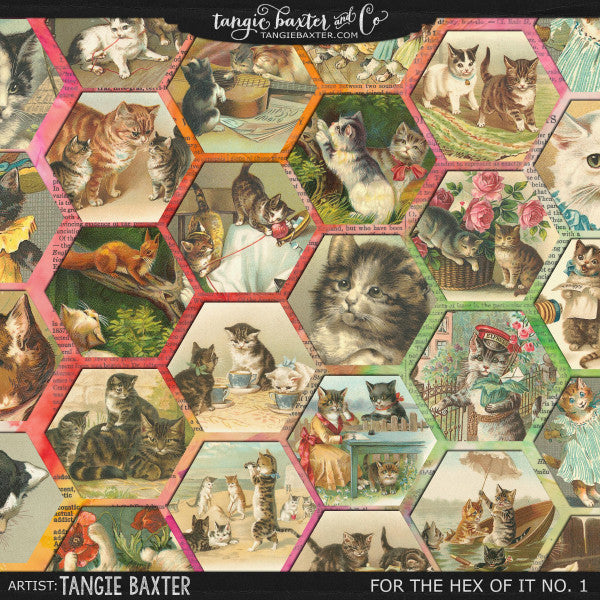 For the Hex of It No. 1