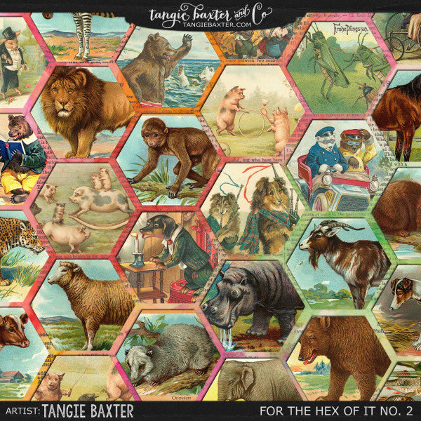 For the Hex of It No. 2