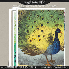 -Collage Sheet Workshop #05 {Nov '14 Delivery}