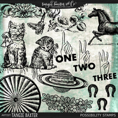 ~EXPIRED~  TB&CO Grab Bag #21 {May 2016}