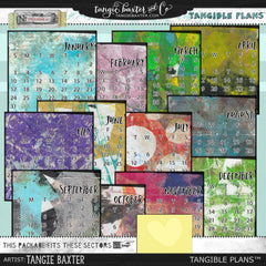 Tangible Plans™ 2016 "How To" Workshop & Exclusive 2016 Packages