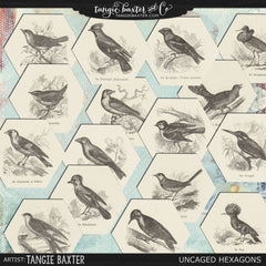 {Tangie Bundle No. 17} Uncaged