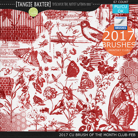 2017 Brush of the Month Club - No. 02 February Brushes
