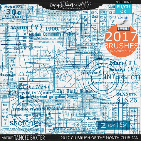 2017 Brush of the Month Club - No. 01 January Brushes