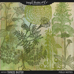 Field Notes