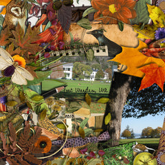 Field Notes {Fall}