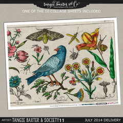 -Collage Sheet Workshop #01 {July '14 Delivery}