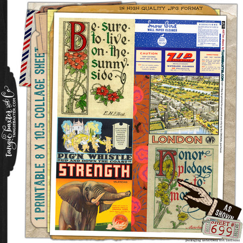ARTist Collage Sheet #699