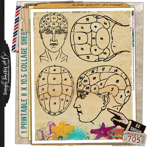 ARTist Collage Sheet #705