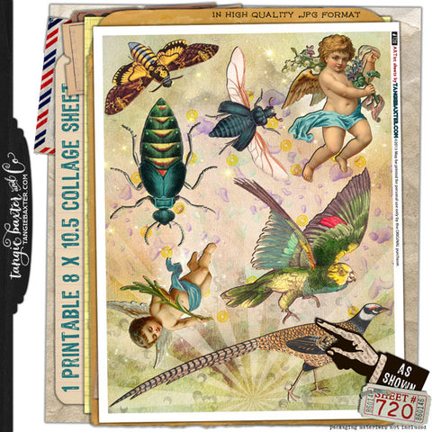 ARTist Collage Sheet #720