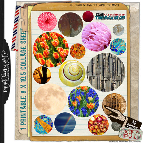 ARTist Collage Sheet #801