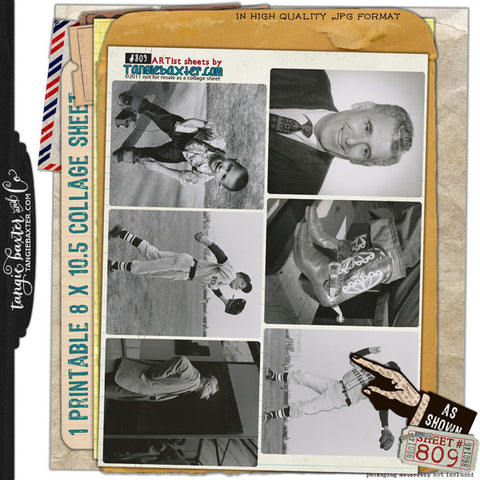 ARTist Collage Sheet #809