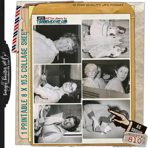 ARTist Collage Sheet #810