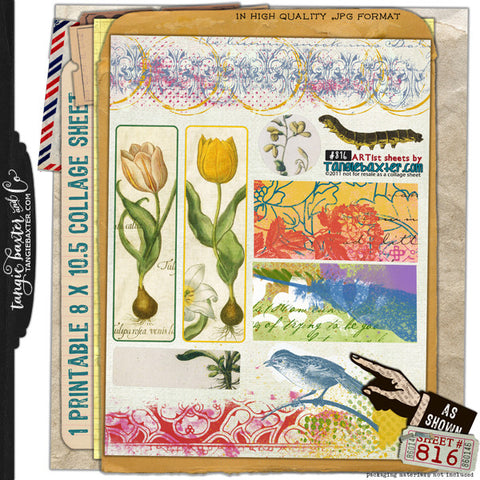 ARTist Collage Sheet #816