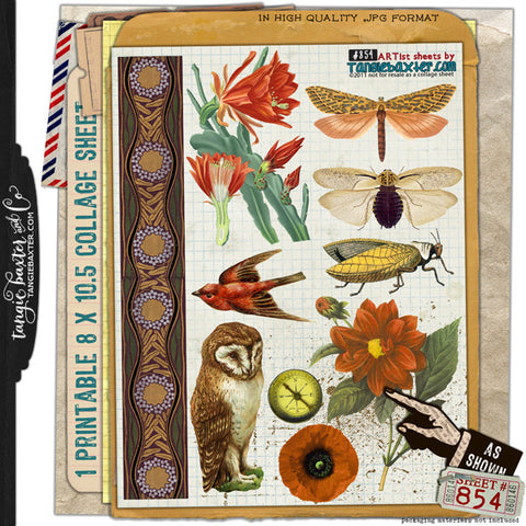ARTist Collage Sheet #854