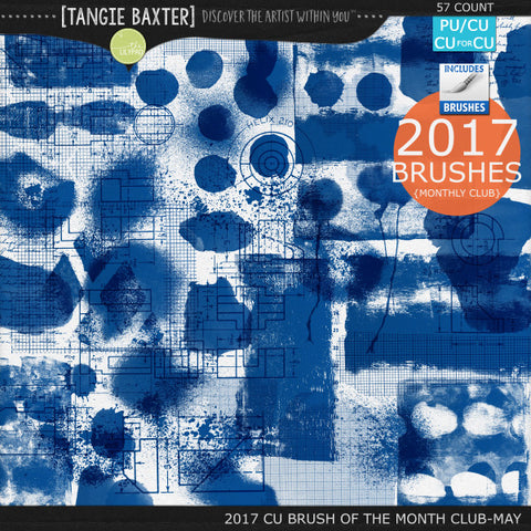 2017 Brush of the Month Club - No. 05 May Brushes