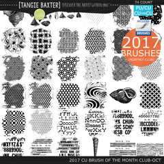 2017 Brush of the Month Club - No. 10 October Brushes