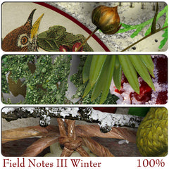 Field Notes {Winter}