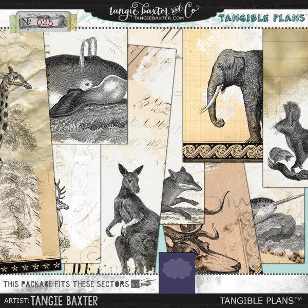 Tangible Plans™ {Add On No. 025}